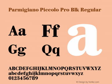Parmigiano Piccolo Pro Blk Regular Version 1.0; 2014 Font Sample