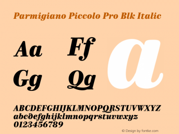 Parmigiano Piccolo Pro Blk Italic Version 1.0; 2014图片样张
