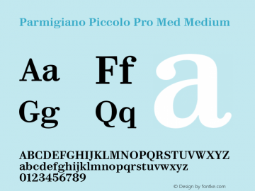 Parmigiano Piccolo Pro Med Medium Version 1.0; 2014 Font Sample