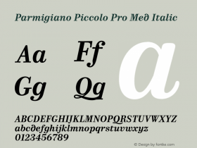 Parmigiano Piccolo Pro Med Italic Version 1.0; 2014 Font Sample