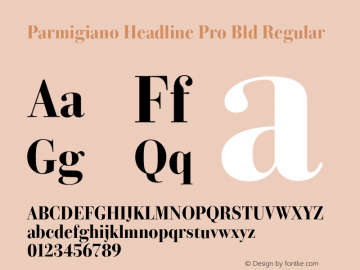 Parmigiano Headline Pro Bld Regular Version 1.0; 2014图片样张