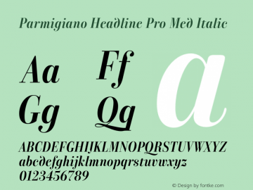 Parmigiano Headline Pro Med Italic Version 1.0; 2014图片样张