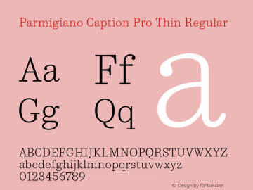 Parmigiano Caption Pro Thin Regular Version 1.0; 2014 Font Sample