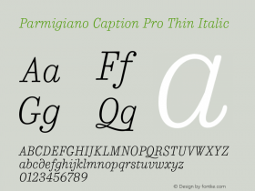 Parmigiano Caption Pro Thin Italic Version 1.0; 2014图片样张