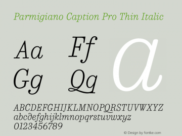 Parmigiano Caption Pro Thin Italic Version 1.0; 2014 Font Sample