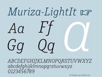 Muriza-LightIt ☞ Version 2.036;com.myfonts.easy.type-me-fonts.muriza.light-italic.wfkit2.version.4cBr图片样张