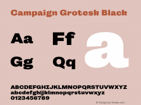 Campaign Grotesk Black Version 001.000 Font Sample