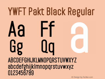 YWFT Pakt Black Regular Version 1.000;PS 001.001;hotconv 1.0.56图片样张
