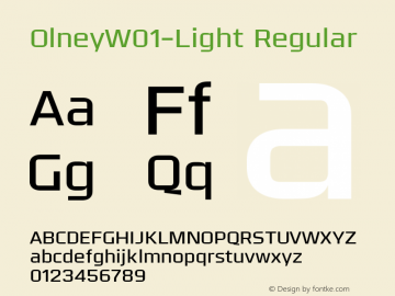 OlneyW01-Light Regular Version 1.0图片样张