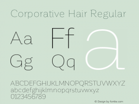 Corporative Hair Regular Version 1.000;PS 001.000;hotconv 1.0.70;makeotf.lib2.5.58329 Font Sample