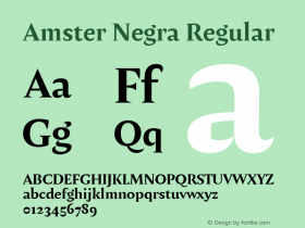 Amster Negra Regular Version 1.000;PS 001.000;hotconv 1.0.70;makeotf.lib2.5.58329 Font Sample