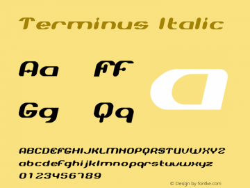 Terminus Italic Version 1.000;PS 001.000;hotconv 1.0.38图片样张