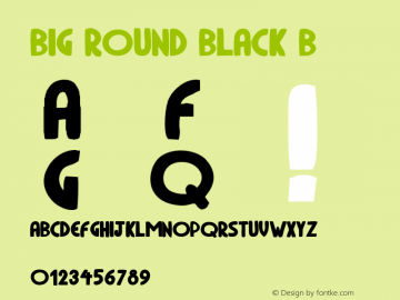 BIG ROUND BLACK Black 001.000图片样张