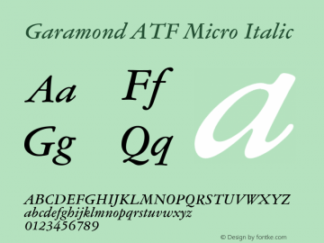 Garamond ATF Micro Italic Version 1.006;PS 001.001;hotconv 1.0.81;makeotf.lib2.5.63406图片样张