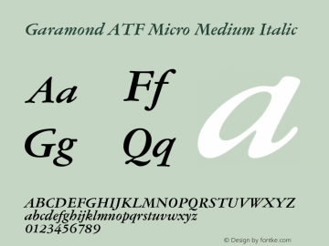 Garamond ATF Micro Medium Italic Version 1.006;PS 1.000;hotconv 1.0.81;makeotf.lib2.5.63406图片样张