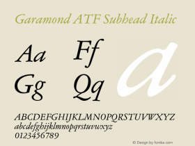 Garamond ATF Subhead Italic Version 1.006;PS 001.001;hotconv 1.0.81;makeotf.lib2.5.63406 Font Sample