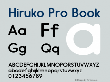 Hiruko Pro Book Version 1.001图片样张