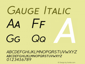 Gauge Italic Version 2.000;PS 001.001;hotconv 1.0.56图片样张