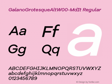 GalanoGrotesqueAltW00-MdIt Regular Version 1.00 Font Sample