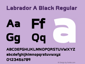Labrador A Black Regular Version 1.000图片样张