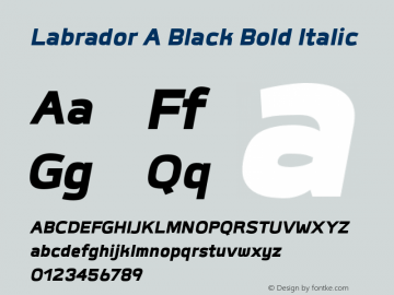 Labrador A Black Bold Italic Version 1.000图片样张