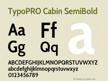 TypoPRO Cabin SemiBold Version 1.006图片样张