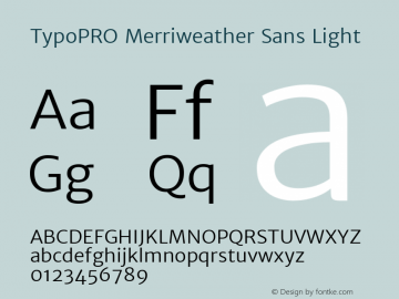 TypoPRO Merriweather Sans Light Version 1.003; ttfautohint (v0.93.8-669f) -l 7 -r 28 -G 0 -x 13 -w 