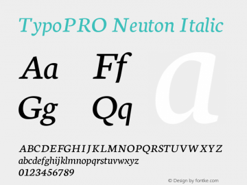 TypoPRO Neuton Italic Version 1.46图片样张