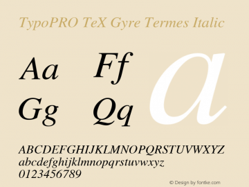 TypoPRO TeX Gyre Termes Italic Version 2.004;PS 2.004;hotconv 1.0.49;makeotf.lib2.0.14853图片样张