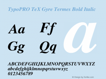 TypoPRO TeX Gyre Termes Bold Italic Version 2.004;PS 2.004;hotconv 1.0.49;makeotf.lib2.0.14853 Font Sample