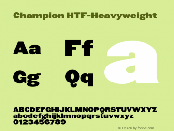 Champion HTF-Heavyweight Version 001.000图片样张