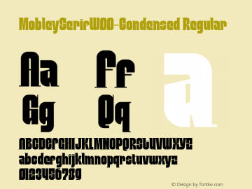 MobleySerifW00-Condensed Regular Version 1.1图片样张
