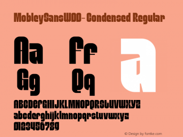 MobleySansW00-Condensed Regular Version 1.1 Font Sample