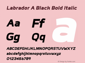 Labrador A Black Bold Italic Version 1.000图片样张