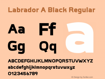 Labrador A Black Regular Version 1.000图片样张