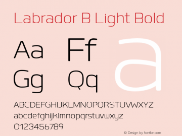 Labrador B Light Bold Version 1.000图片样张