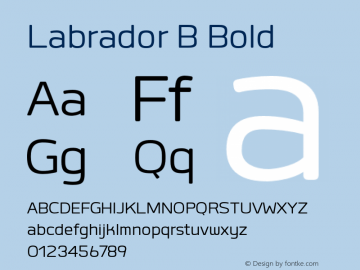 Labrador B Bold Version 1.000图片样张