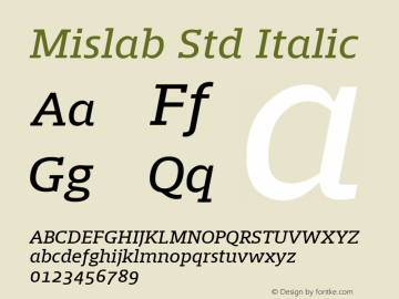 Mislab Std Italic Version 1.000;PS 1.0;hotconv 1.0.72;makeotf.lib2.5.5900 DEVELOPMENT; ttfautohint (v1.2) -l 8 -r 50 -G 200 -x 14 -D latn -f none -w G -X 