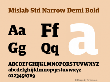 Mislab Std Narrow Demi Bold Version 1.000;PS 1.0;hotconv 1.0.72;makeotf.lib2.5.5900 DEVELOPMENT; ttfautohint (v1.2) -l 8 -r 50 -G 200 -x 14 -D latn -f none -w G -X 