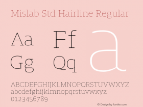 Mislab Std Hairline Regular Version 1.000;PS 1.0;hotconv 1.0.72;makeotf.lib2.5.5900 DEVELOPMENT; ttfautohint (v1.2) -l 8 -r 50 -G 200 -x 14 -D latn -f none -w G -X 