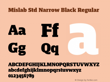Mislab Std Narrow Black Regular Version 1.000;PS 1.0;hotconv 1.0.72;makeotf.lib2.5.5900 DEVELOPMENT; ttfautohint (v1.2) -l 8 -r 50 -G 200 -x 14 -D latn -f none -w G -X 