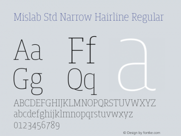 Mislab Std Narrow Hairline Regular Version 1.000;PS 1.0;hotconv 1.0.72;makeotf.lib2.5.5900 DEVELOPMENT; ttfautohint (v1.2) -l 8 -r 50 -G 200 -x 14 -D latn -f none -w G -X 