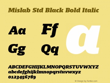 Mislab Std Black Bold Italic Version 1.000;PS 1.0;hotconv 1.0.72;makeotf.lib2.5.5900 DEVELOPMENT; ttfautohint (v1.2) -l 8 -r 50 -G 200 -x 14 -D latn -f none -w G -X 