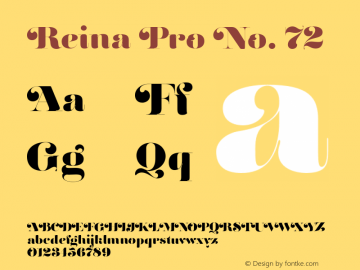 Reina Pro No. 72 Version 1.2图片样张