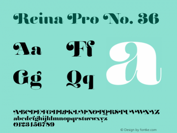 Reina Pro No. 36 Version 1.2 Font Sample