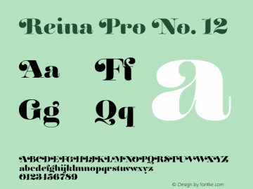Reina Pro No. 12 Version 1.2图片样张