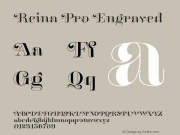 Reina Pro Engraved Version 1.2图片样张