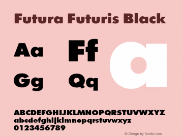 Futura Futuris Black 1.000图片样张