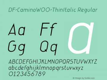 DF-CaminoW00-ThinItalic Regular Version 1.00图片样张