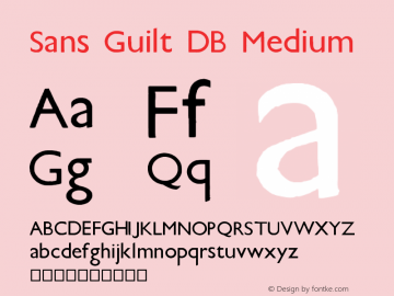 Sans Guilt DB Medium Version 001.000 Font Sample